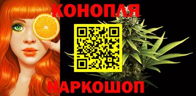 индика Тара