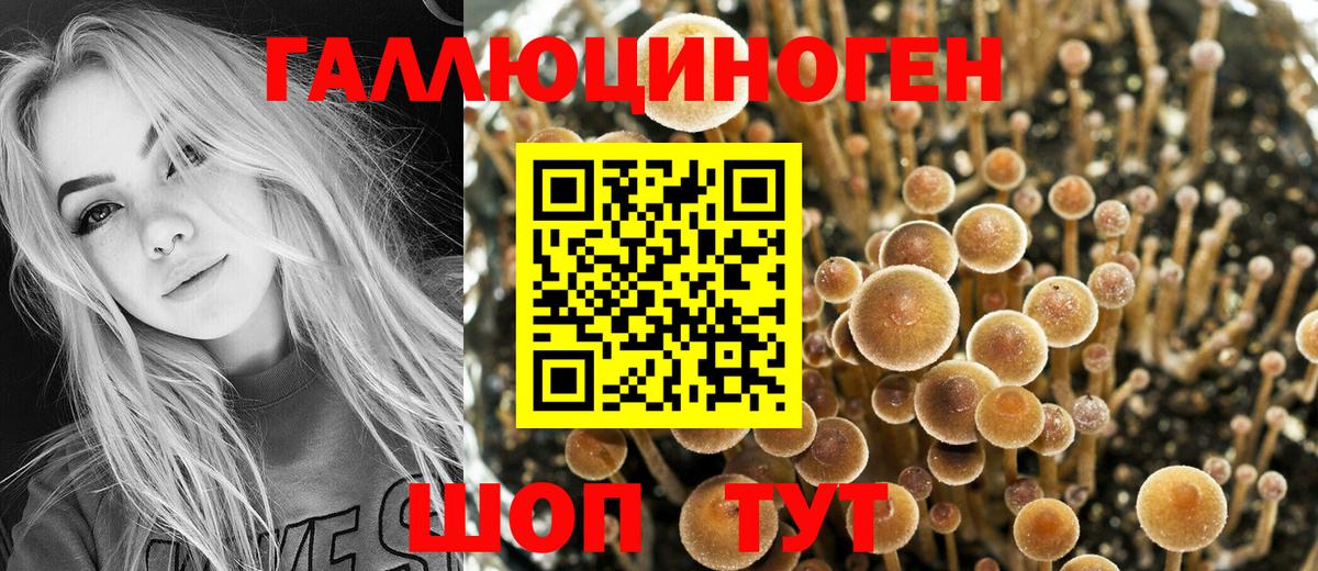 Новый Уренгой  Галлюциногенные грибы GOLDEN TEACHER  Вход с VPN 