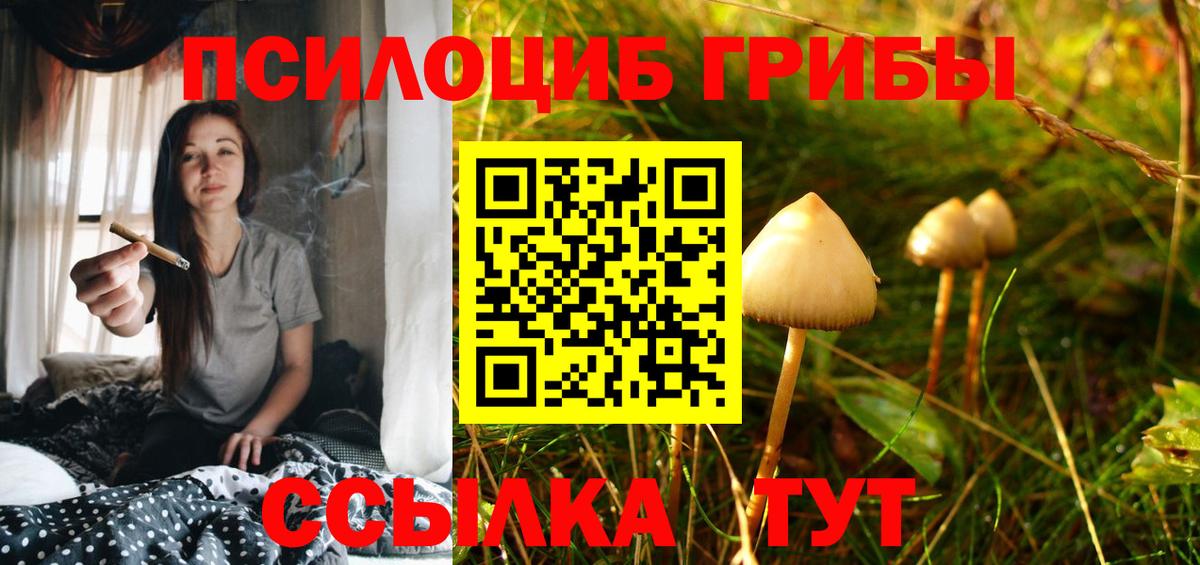 Псилоцибиновые грибы Magic Shrooms Новый Уренгой